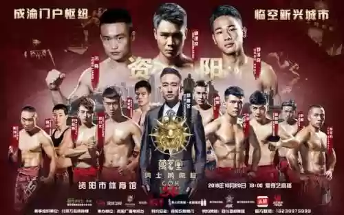 荣耀殿堂阵容(荣耀殿堂手游)
