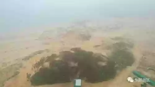 硬核冲锋阵容(强音对决最强阵容搭配)插图28