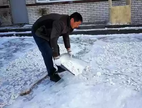 饺子阵容搭配(韭菜馅饺子怎么调好吃？)插图4