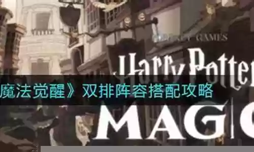 哈利波特单人双排阵容搭配