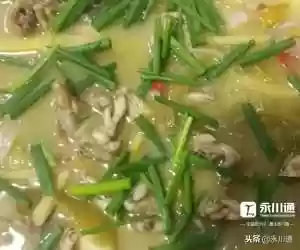 美人蛙阵容(宝可梦t0阵容)插图18