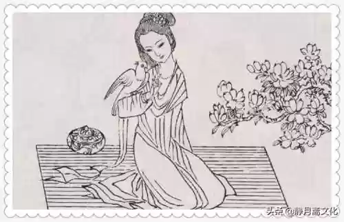 端午大蛇阵容(阴阳师大蛇阵容搭配)插图2