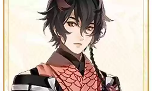 鸨羽阵容搭配