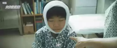 浅田家阵容(宝可梦t0阵容)插图15