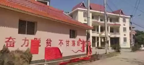 农夫出身阵容(金铲铲s10乡村乐阵容)