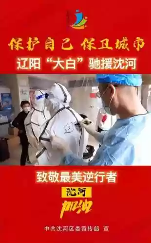 沈阳核酸阵容(沈阳hiv核酸检测)插图7