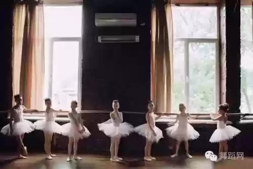 舞蹈考级阵容(舞蹈级别考试一共几级)插图1