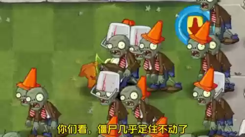 蜜蜂铃兰阵容(铃兰花和什么花搭配好看)插图3