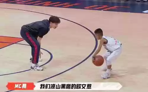 凉山黑鹰阵容(雪天队最强阵容搭配)插图1