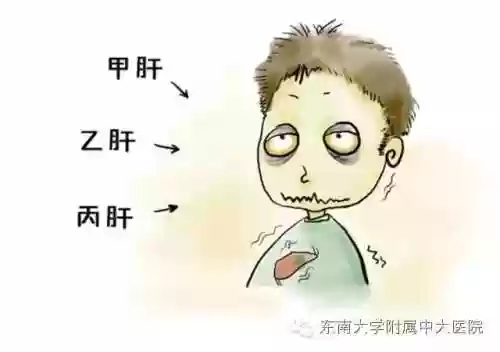 医院专家阵容(霸气英雄最佳阵容搭配)插图24