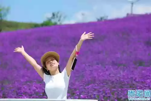 云顶花海阵容(云顶最新阵容搭配全部图)插图2