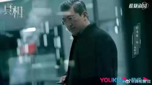 真相东宫阵容(真假东宫全集免费版)插图21