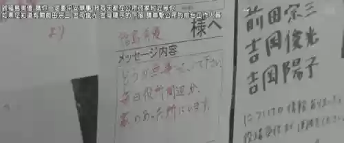 浅田家阵容(宝可梦t0阵容)插图48