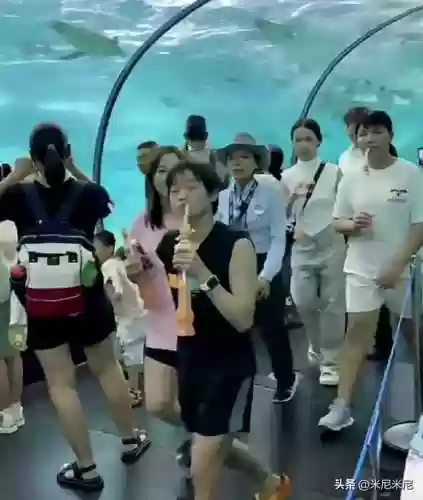 海洋王国阵容(海洋王国阵容搭配攻略)插图5