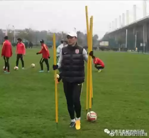 07亚泰阵容(04国足亚洲杯 最佳阵容)