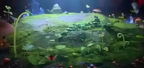 运输蚂蚁阵容(运营矩阵是什么意思)