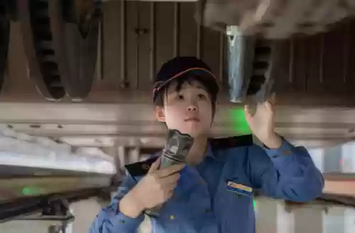 法宝李青阵容(云顶之弈李青阵容)插图1