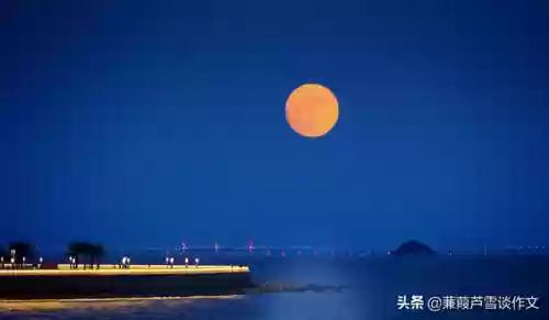 海潮试炼阵容(潮灵王国阵容搭配攻略)插图2
