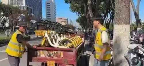 猎人狩猎阵容(骰子猎人最强阵容)