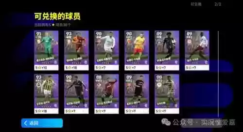 绿茵阵容召集(绿茵之巅最佳球员搭配)插图7