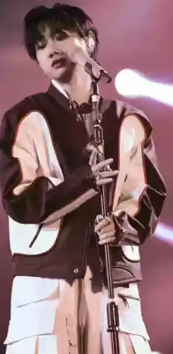 公益歌手阵容(乡村音乐和高能流行阵容)插图5