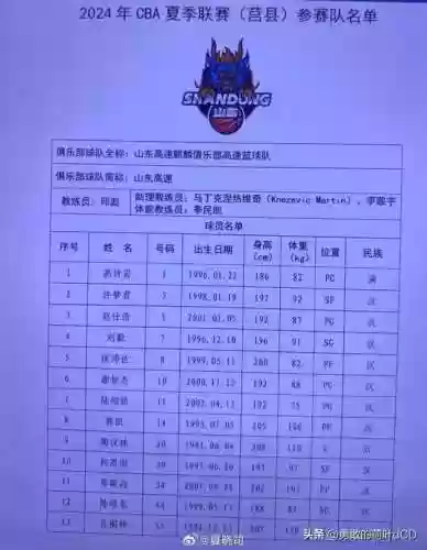 辽宁山东阵容(新赛季辽宁队队员名单)插图3