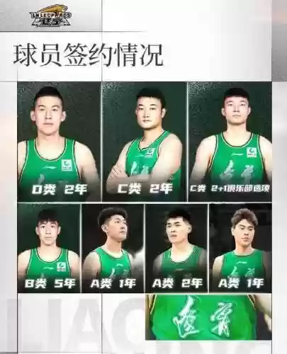 打造豪华阵容(不朽家族推图阵容搭配)插图1