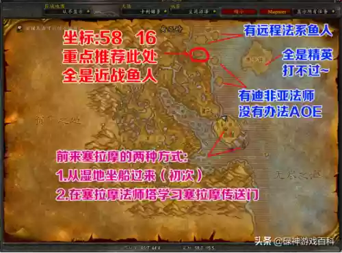 小马法师阵容(云顶之弈法师阵容搭配最新)插图1