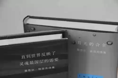 梦呓队阵容(灵魂潮汐魔法队阵容)插图2