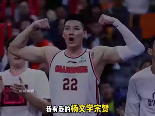 李青祥阵容(梦一队阵容)