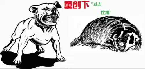 比特狮子阵容(云顶之弈s108比特阵容推荐)插图3