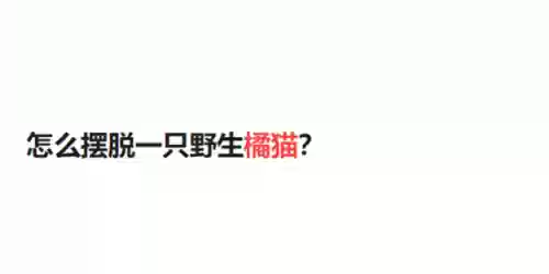 猫猫玄学阵容(猫之城t0阵容)