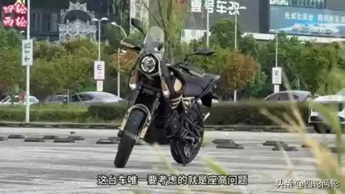 铁甲蛹阵容(金蝉蝉大触角什么阵容)
