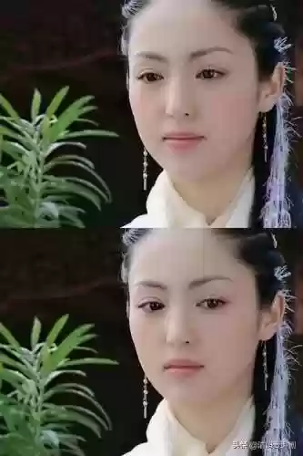 明星豪侠阵容(武侠大明星阵容推荐)插图3