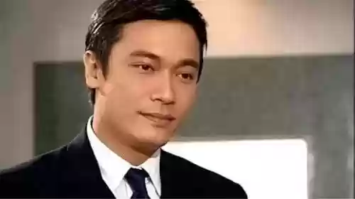 港台神仙阵容(武侠大明星阵容推荐)插图16