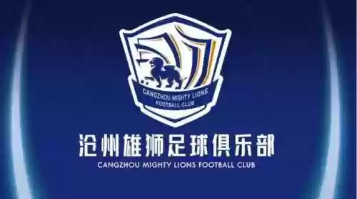 雄狮现在阵容(欢乐对决狮子阵容)