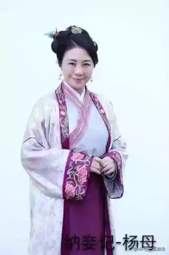 纳妾记阵容(宫廷计后期尚食最强阵容)