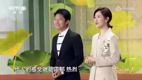 2022央视阵容(央视春晚主持人阵容正式公布)插图15