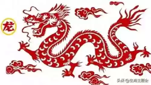 易怒龙阵容(多多自走棋龙法阵容)插图4
