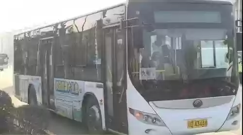 沈阳核酸阵容(沈阳hiv核酸检测)插图8