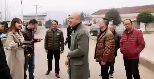 金鹏烟花阵容(混沌之塔最快通关阵容)插图1