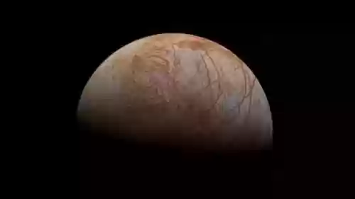 宇宙的阵容(龙珠第七宇宙出场阵容)插图4