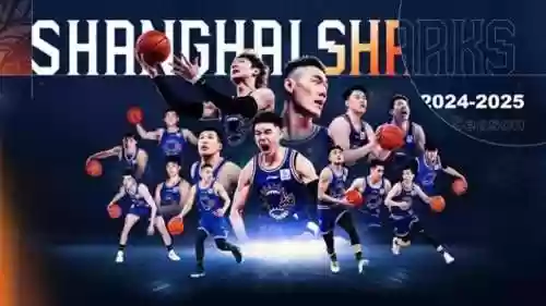 上海男蓝阵容(cba上海队球员名单)