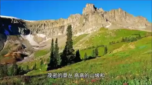 小兔试炼阵容(英雄的试炼阵容推荐)插图1