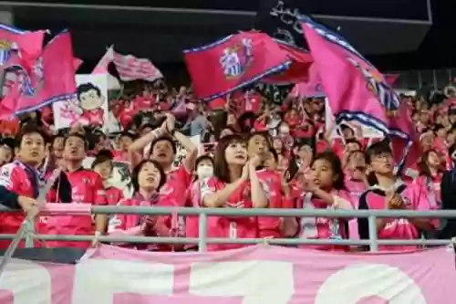 樱花最强阵容(樱花校园中的神仙搭配)