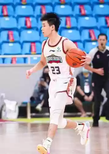树苗反弹阵容(植物大战阵容搭配)插图6