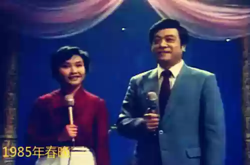 历年春晚阵容(2015春晚节目单表)插图7