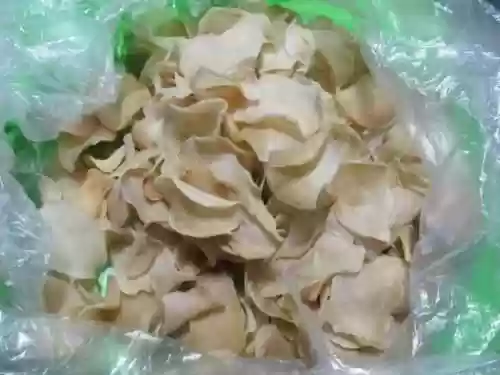 彝良队阵容(442是什么阵容)插图52
