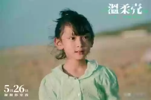 温柔壳阵容(云顶之弈努努阵容搭配)插图7