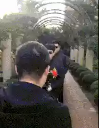 嬉闹躲藏阵容(邂逅在迷宫最强阵容搭配)插图14